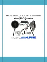 Alpine Motorcycle Tunes Instructions предпросмотр