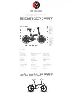 ALTER EGO Sidekick FAT 500 User Manual preview