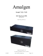 Amalgen 7021 Series Maintenance And Installation Manual preview