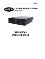 Ambery RFDM1R User Manual preview