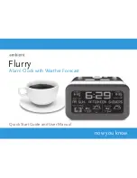 Ambient Flurry Quick Start Manual And User Manual preview