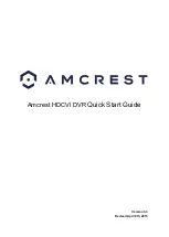 Amcrest AMDV10808-8B Quick Start Manual предпросмотр