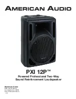 American Audio PXI 12P (Spanish) Manual De Usuario preview