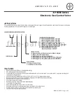 american flame AF-4000 Series Manual предпросмотр