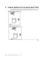 Preview for 75 page of American Megatrends Apollo User Manual