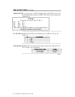 Preview for 28 page of American Megatrends MegaRUM User Manual