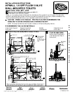 American Standard Afwall Wall 1.6 GPF Flush Valve Wall-Mounted Toilets 2254 Installation Instructions предпросмотр