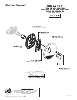 Preview for 9 page of American Standard GREEN TEA T010.730 Installation Instructions Manual