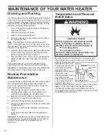 Предварительный просмотр 20 страницы American Water Heater Flame Guard Safety System Installation Instructions And User Manual