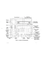 Предварительный просмотр 8 страницы AMERICOM 7010S Series User Manual