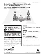 Preview for 1 page of AMES 2000SS Series Installation, Maintenance & Repair