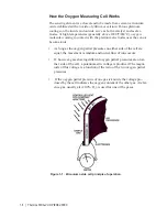 Предварительный просмотр 18 страницы Ametek Thermox WDG-V UOP User Manual