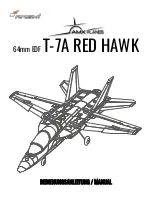 Amewi AMXPLANES T-7A RED HAWK Manual preview