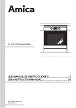 Amica 10143.4TdDpHaQaXSp Instruction Manua preview