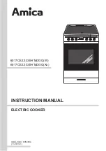 Amica 6017CE2.333EHTaDGQ(W) Instruction Manual preview