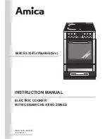 Amica 604CE3.334TaYDpHbG(Srv) Instruction Manual предпросмотр