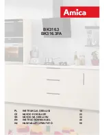 Amica BK316.3 Instruction Manual preview