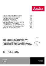 Amica OTP9651BG Operating Instructions Manual предпросмотр