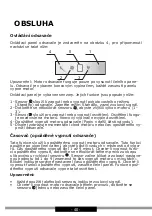 Предварительный просмотр 40 страницы Amica OTP9651BG Operating Instructions Manual