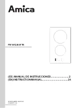 Amica PB 2VQ203FTN Series Instruction Manual preview