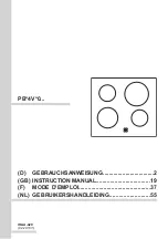 Предварительный просмотр 1 страницы Amica PB 4V 0 Series Instruction Manual