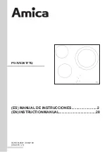 Amica PG3VE201FTQ Instruction Manual preview