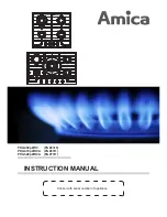 Amica PGZ6310 Instruction Manual preview