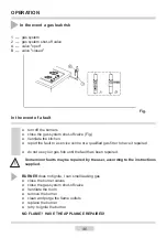 Предварительный просмотр 46 страницы Amica PPCG4.0ZpZt Instruction Manual