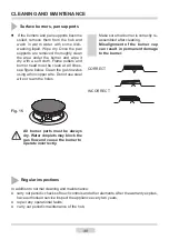 Предварительный просмотр 48 страницы Amica PPCG4.0ZpZt Instruction Manual