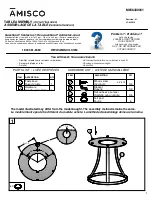 Amisco M656480061 Quick Start Manual предпросмотр