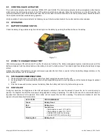 Предварительный просмотр 13 страницы Amkus IC700 Instructions For Safe Operation And Maintenance