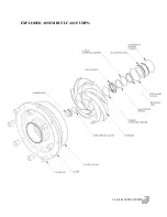 Preview for 10 page of Ampco Pumps Company LF 401 Instruction & Maintenance Manual