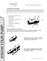 Preview for 10 page of Ampco Pumps Company QTS-AMPCO Operation And Maintenance Manual