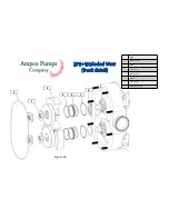 Preview for 3 page of Ampco Pumps Company ZP1+ Series Maintenance Manual Addendum