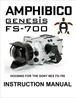 AMPHIBICO genesis fs-700 Instruction Manual предпросмотр