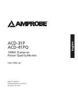 Preview for 2 page of Amprobe ACD-31P User Manual