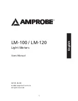 Preview for 2 page of Amprobe LM-100 User Manual