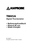 Preview for 4 page of Amprobe TM45A User Manual