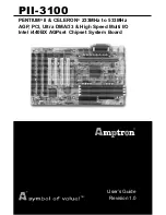 AMPTRON PII-3100 User Manual preview