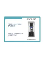 Amroad DP100-25 Manual предпросмотр