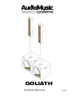 AMS GOLIATH SAT User Manual preview