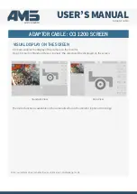 Предварительный просмотр 2 страницы AMS VICAM-AMS-CCI1200 User Manual