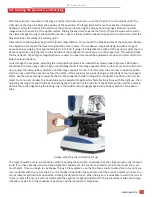 Preview for 19 page of AmScope B270 Manual