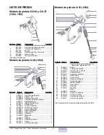 Предварительный просмотр 41 страницы amspray DSP 1400 Series Owner'S Manual