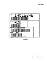 Preview for 217 page of AMT Datasouth documax 3300 User Manual