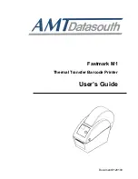 AMT Datasouth Fastmark M1 User Manual preview