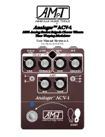 Preview for 1 page of AMT Analoger ACV-1 User Manual