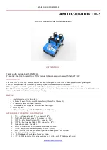 Preview for 1 page of AMT CH-2 User'Smanual