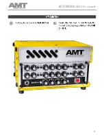 Предварительный просмотр 2 страницы AMT StoneHead-50-4 User Manual