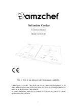 amzchef YL28-DC08 Instruction Manual предпросмотр